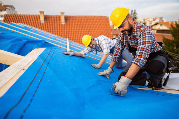 Best Storm Damage Roof Repair  in Hernando, MS